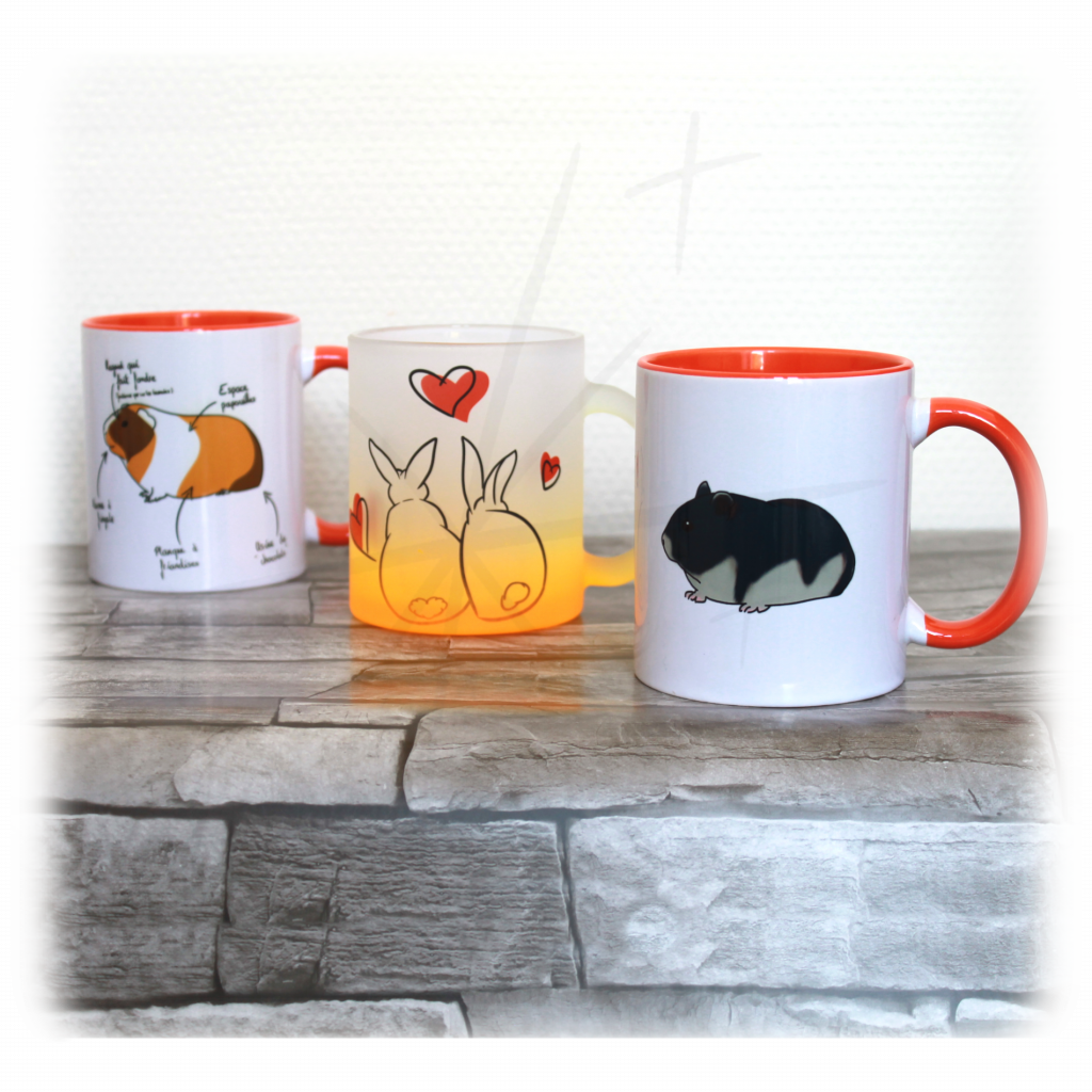 Mug aspect Givre